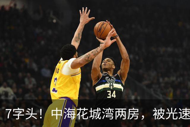 7字头！中海花城湾两房，被光速捡漏